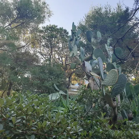 Lea - Indipendenti Con Giardino, Patio E Terrazza Nel Verde Apartment *