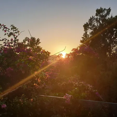 Lea - Indipendenti Con Giardino, Patio E Terrazza Nel Verde Porto Rotondo