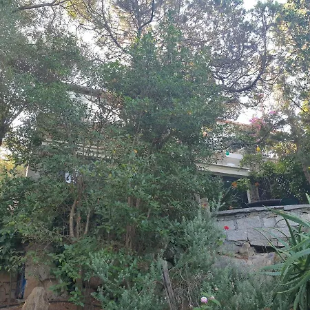 Lea - Indipendenti Con Giardino, Patio E Terrazza Nel Verde Porto Rotondo