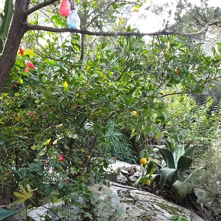 Lea - Indipendenti Con Giardino, Patio E Terrazza Nel Verde Apartment *